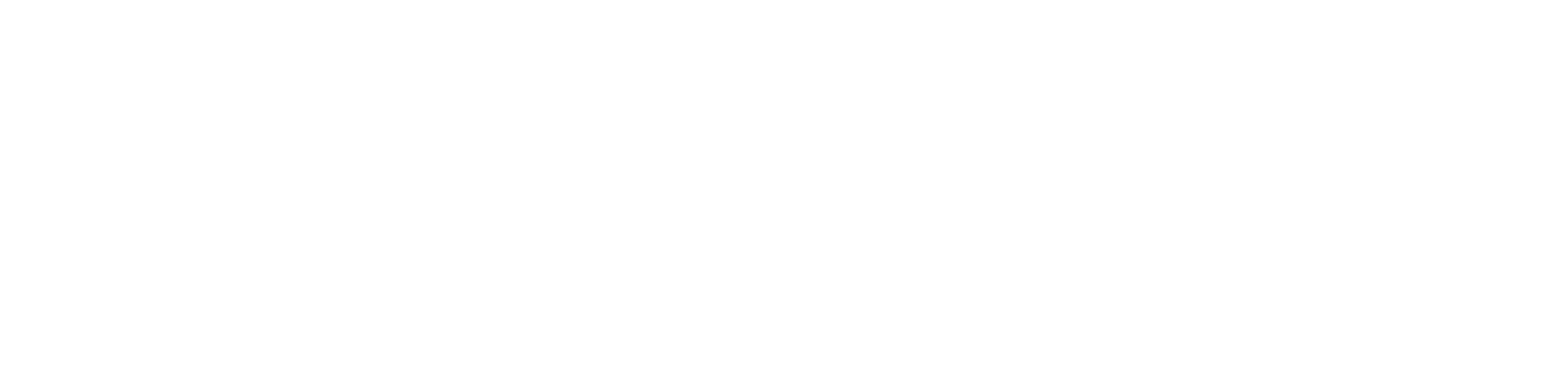 ICCMEX
